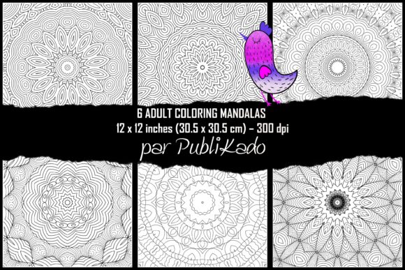 Mandala à Colorier 101: A Creative Resource for Adults and Artists